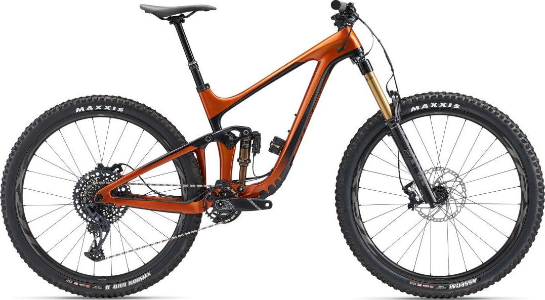 Reign_Advanced_Pro_1_[29"]