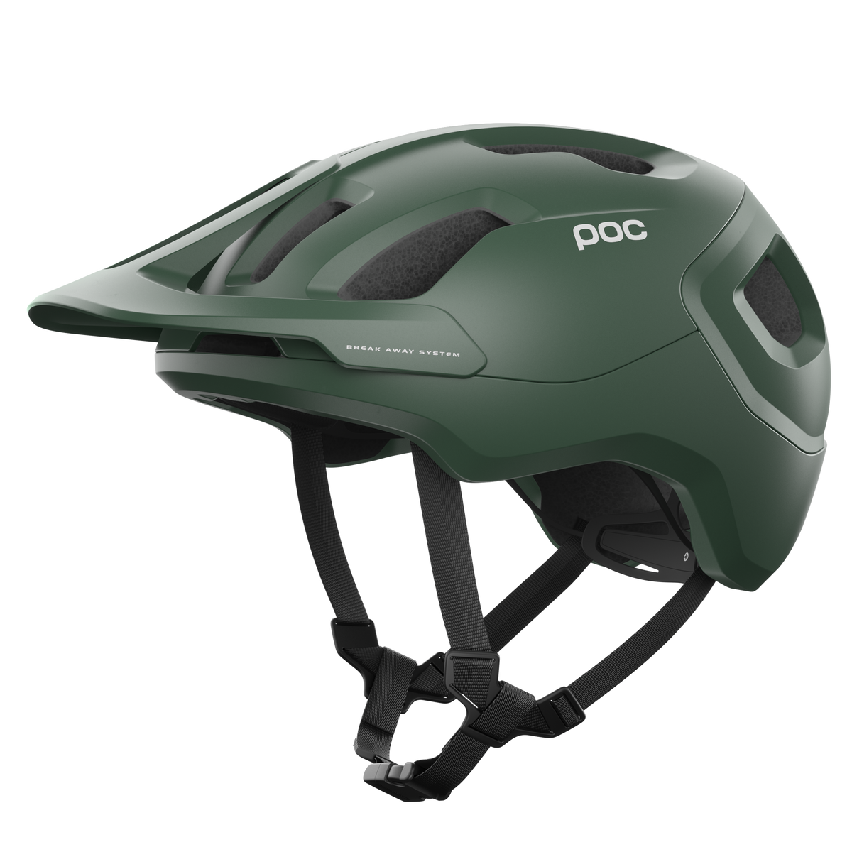 Axion