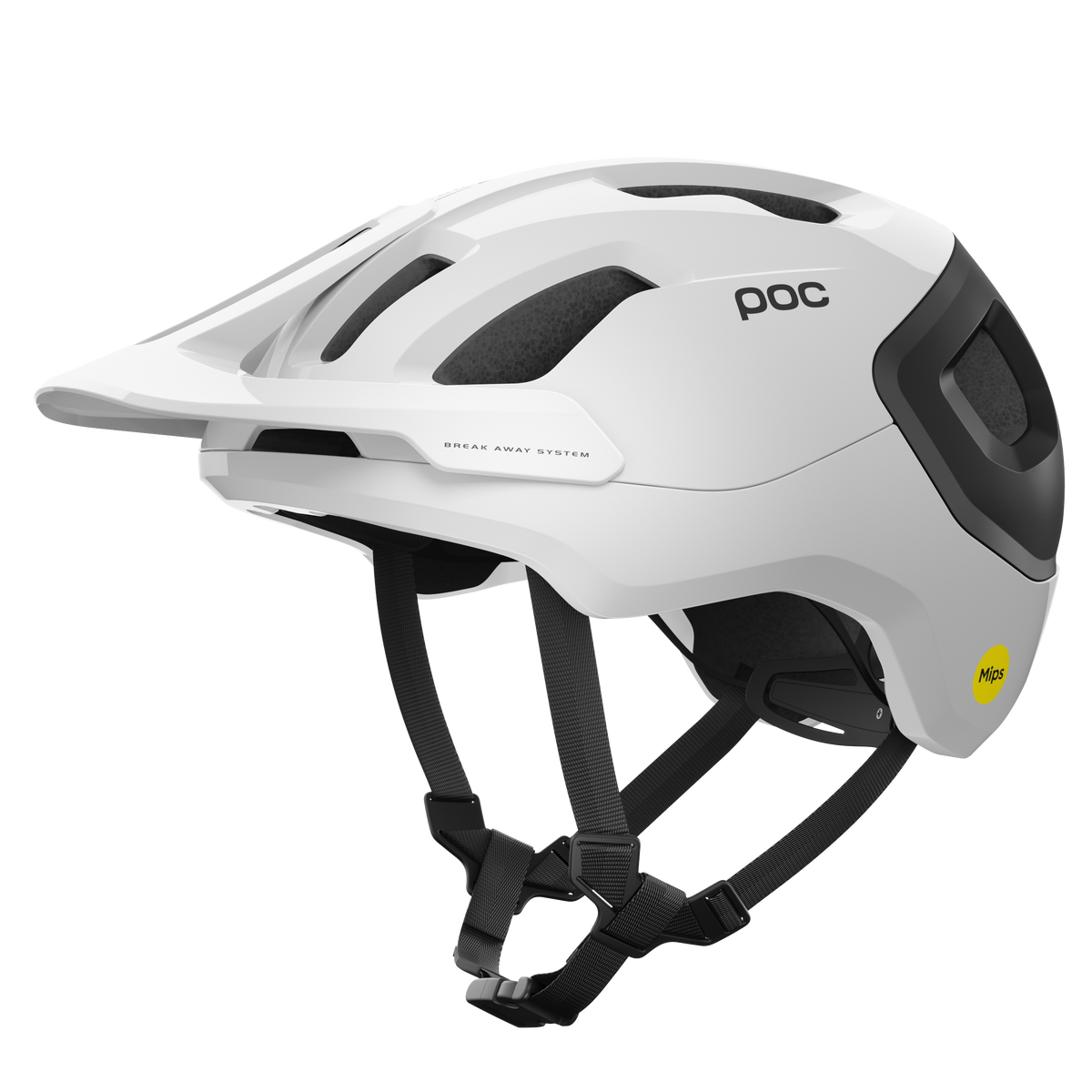Axion_Race_MIPS