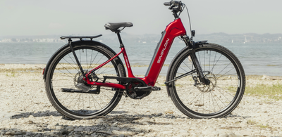 images.cdn.europe-west1.gcp.commercetools.com/078b97e9-ed31-4c81-baae-cdd44f3bf3c1/149a991e2c89d91e22bf-AqNXHD0q