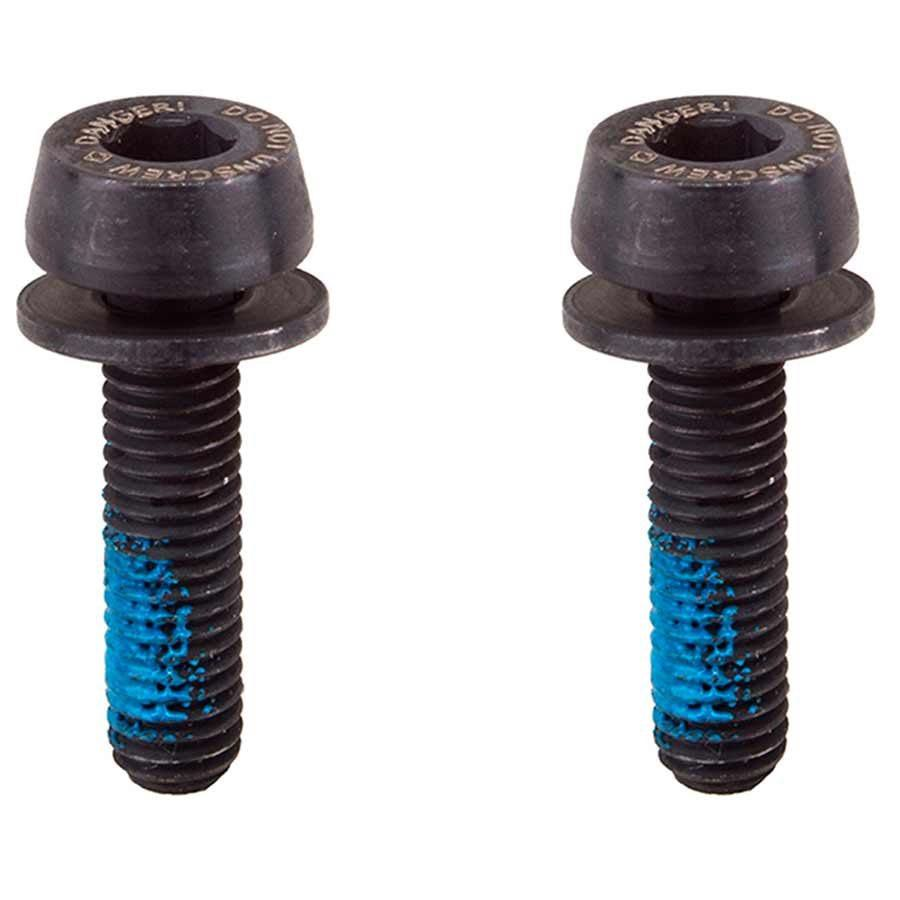 Rear_caliper_mounting_screws_10-14mm