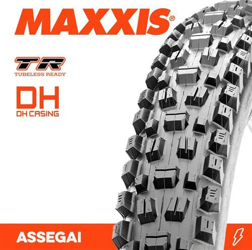 Assegai_29_X_2.50_Wt_Bikepark_/_Dh_/_Tr