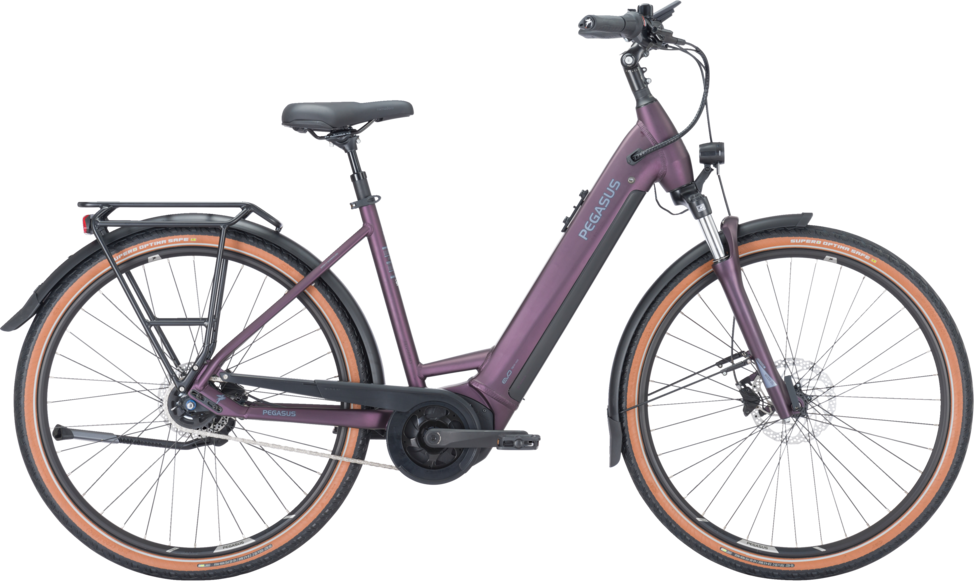 Pegasus Premio EVO 5R 2023
