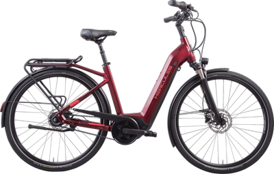 gefederter fahrradsattel Fahrradsattel BGB-916 Ledersattel Retro Sattel Fahrradsitz Hollandrad   Redloonbike24 by vonderpalette