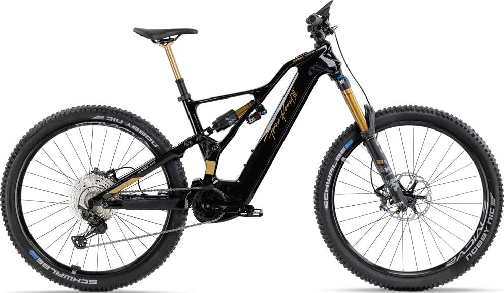 Kneissl Design World Champion 2024