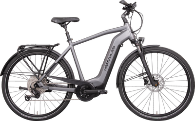flyer e mountainbike Flyer Flex Utility eBike
