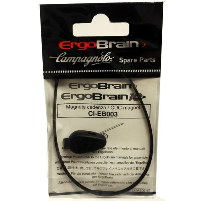Ergo_Brain_Cadence_Magnet