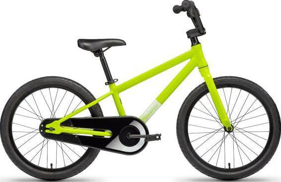 The_Kid's_20"_Bike