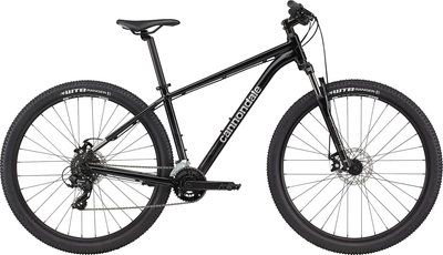 Cannondale マウンテンバイク ブラック 29インチ Cannondale Trail 29er 4 - Ridgeline Bike & Ski, Boise, ID