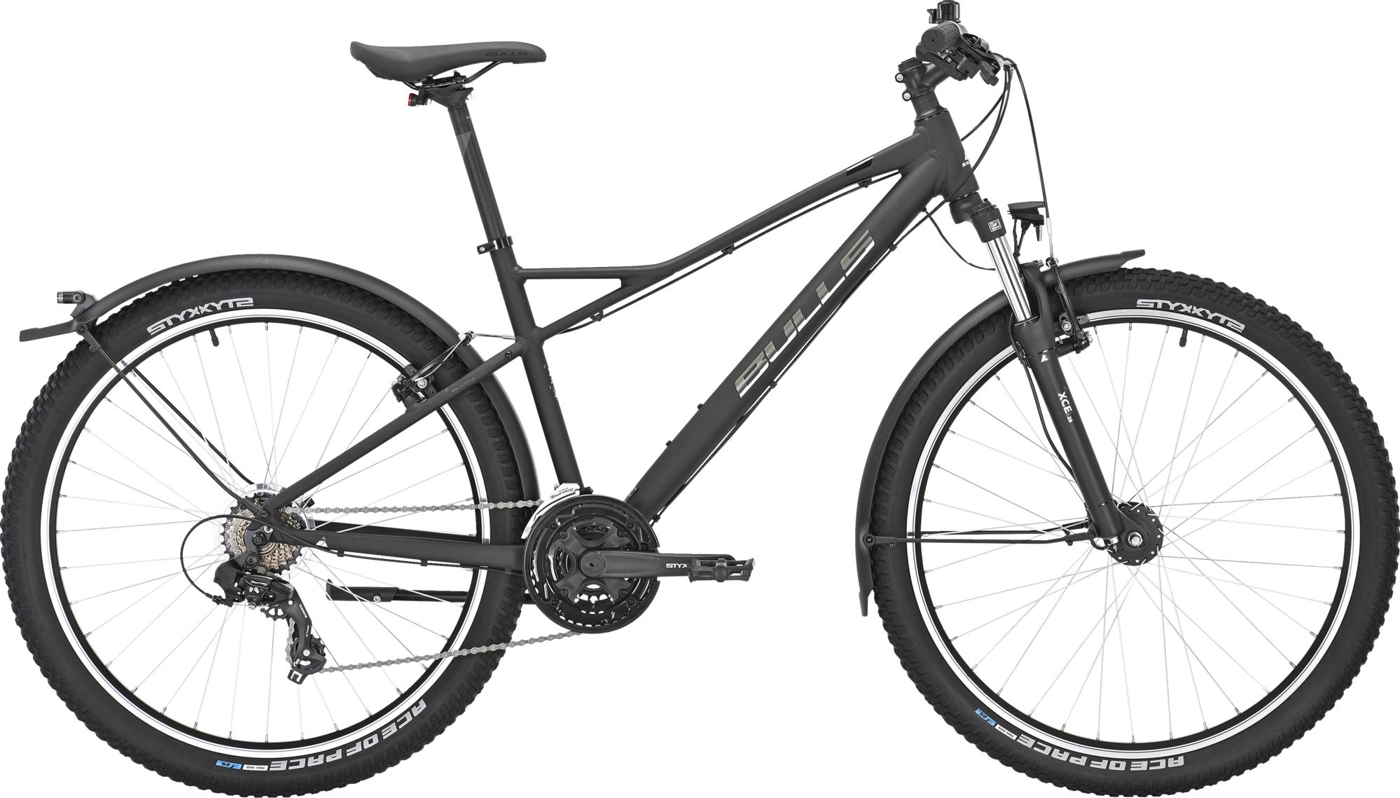 SHARPTAIL_STREET_1_27,5