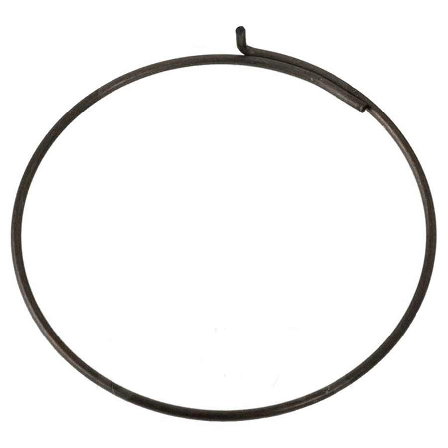 Pawl_spring_For_all_Campagnolo_freehubs_5pcs