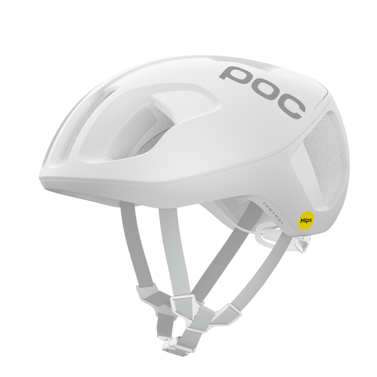 Ventral_MIPS