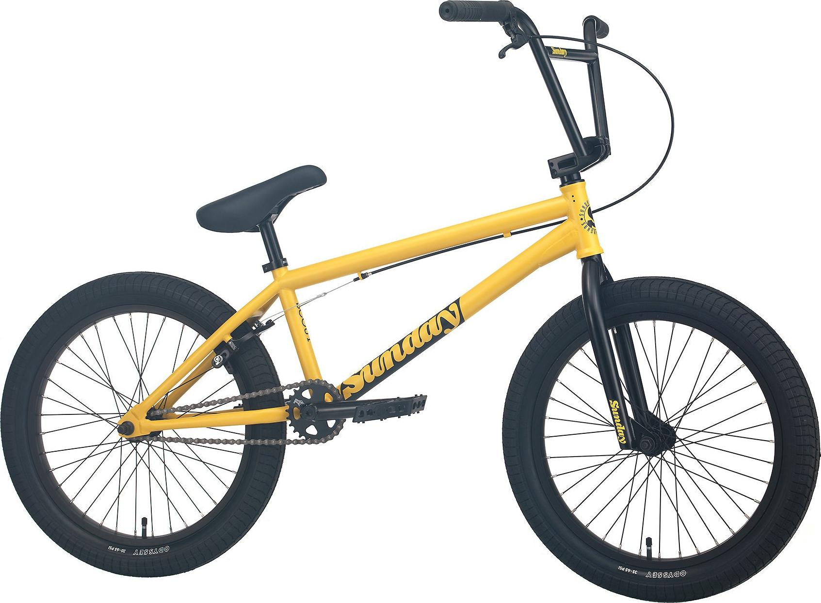 20"_Scout