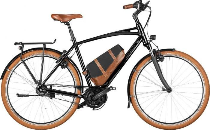 Cruiser2_Vario