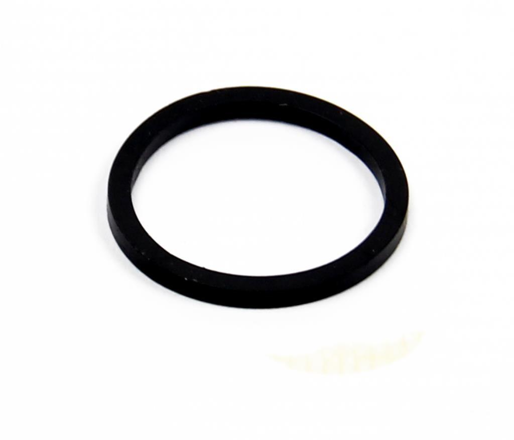X2_-_Caliper_Piston_Seal