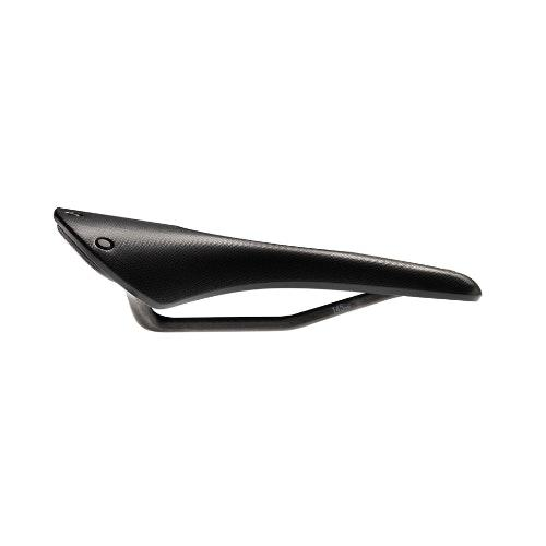 C13_Cambium_Carved_145