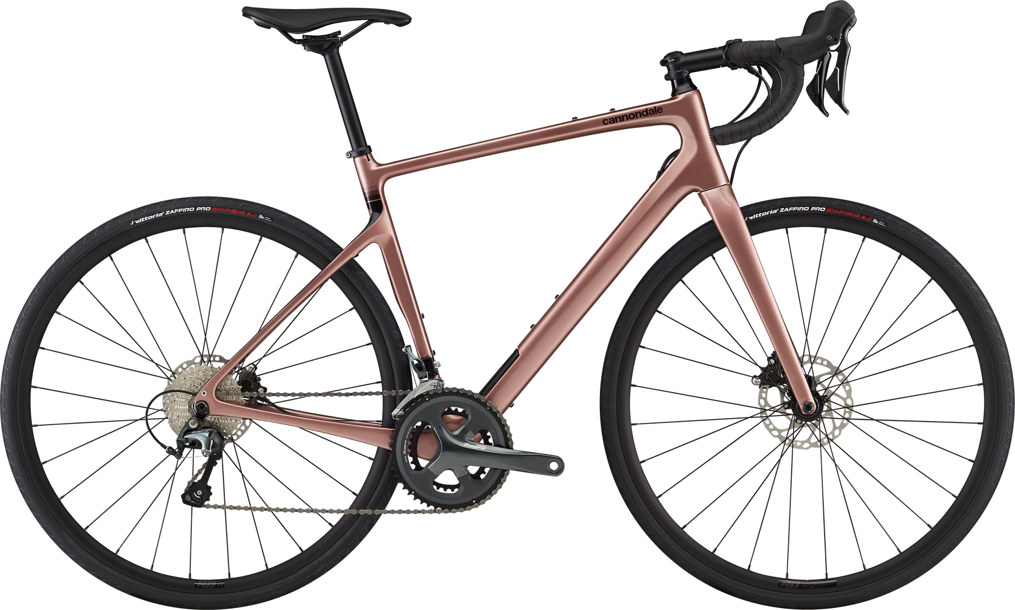Synapse_Carbon_4