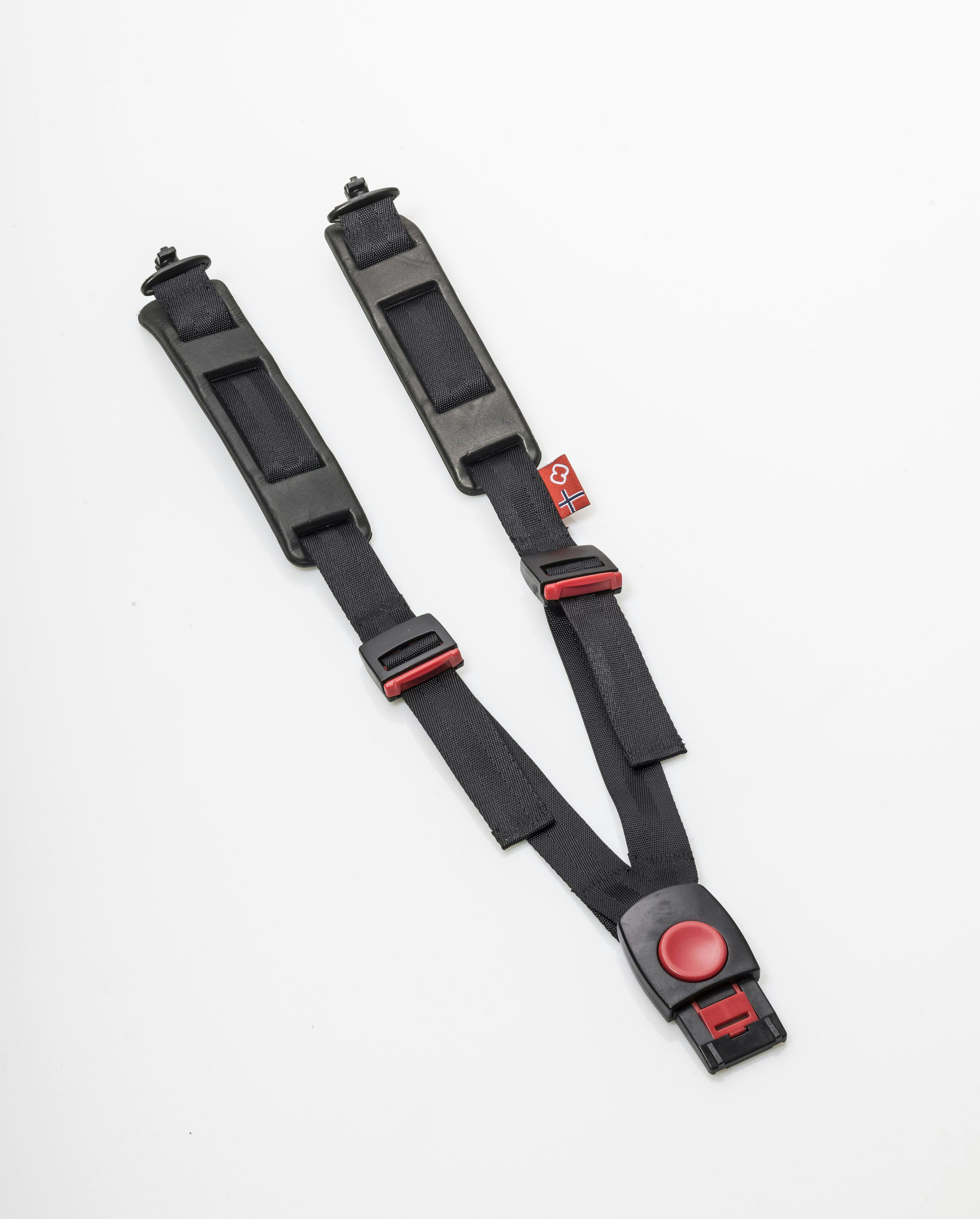 Observer_Harness