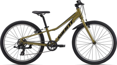 Giant Kids & Youth Bikes buy online now | BikeExchange