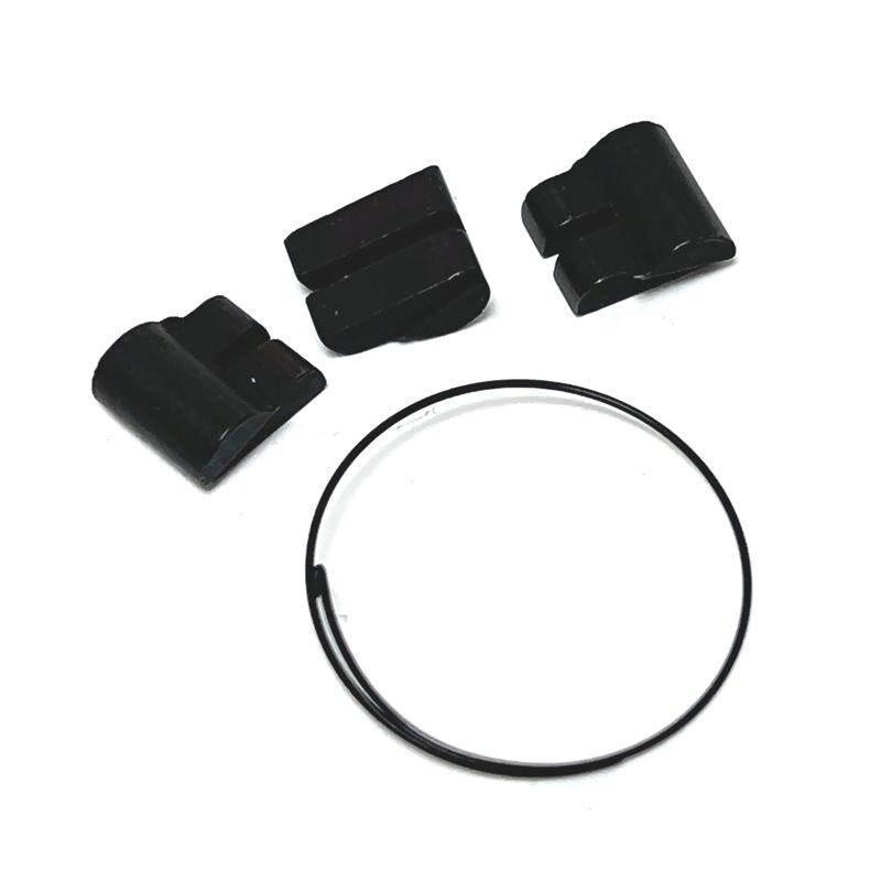 Freehub_Spring_&_Pawl_Kit_FW