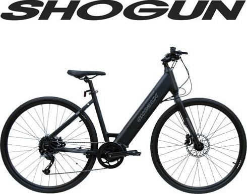 EB5_ebike