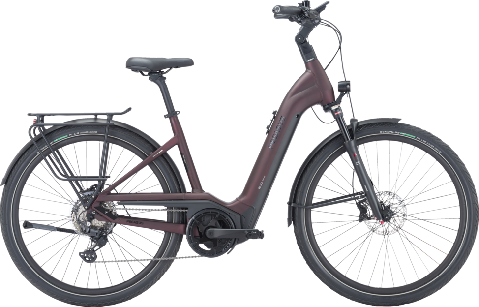 Strong_EVO_10_Lite_Wave_625Wh