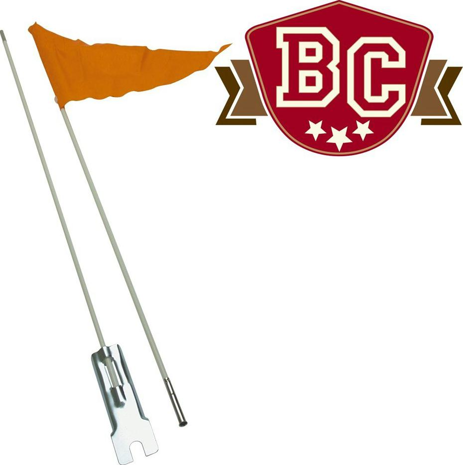 SAFETY_FLAG