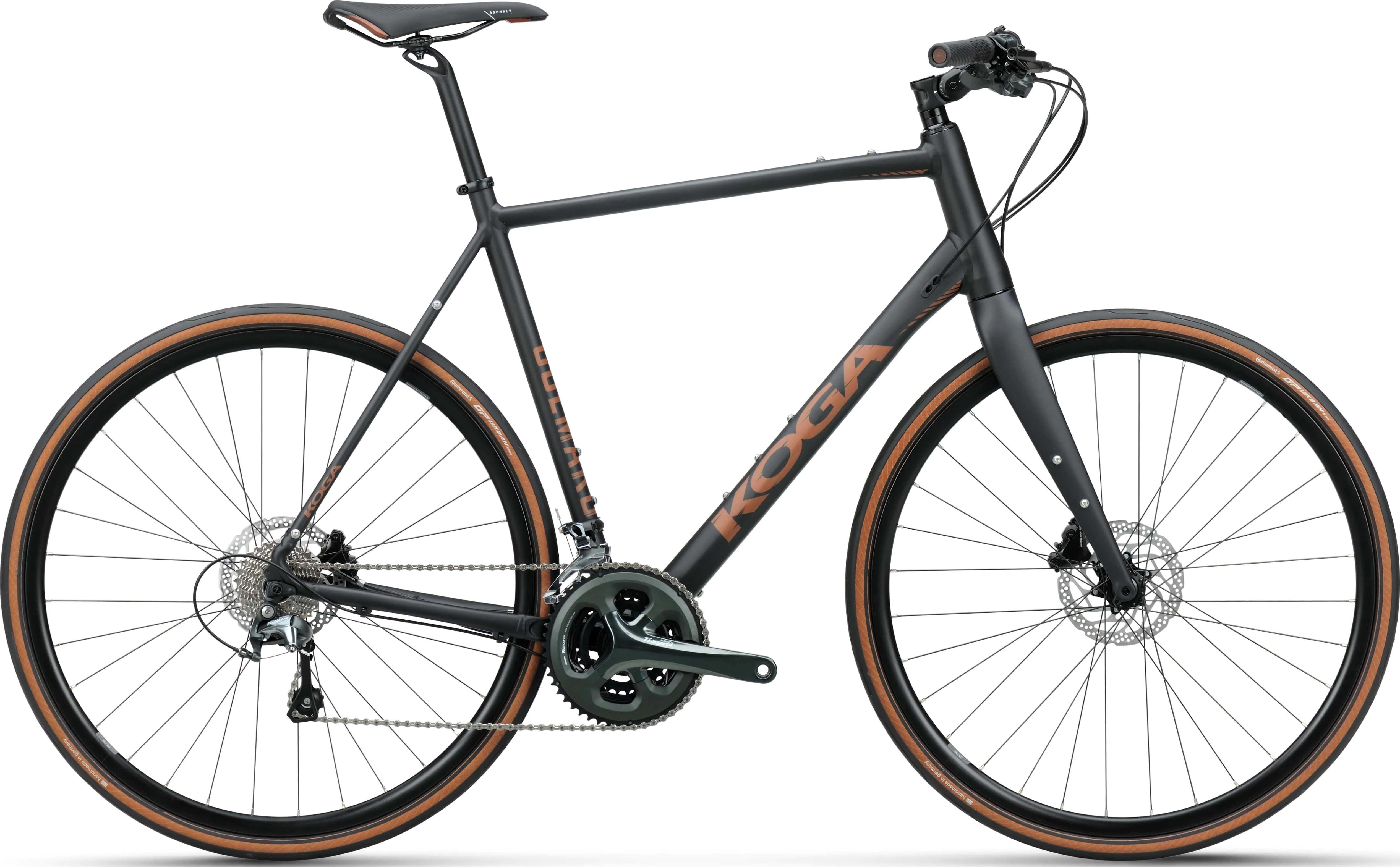 Koga Colmaro Sports 2024