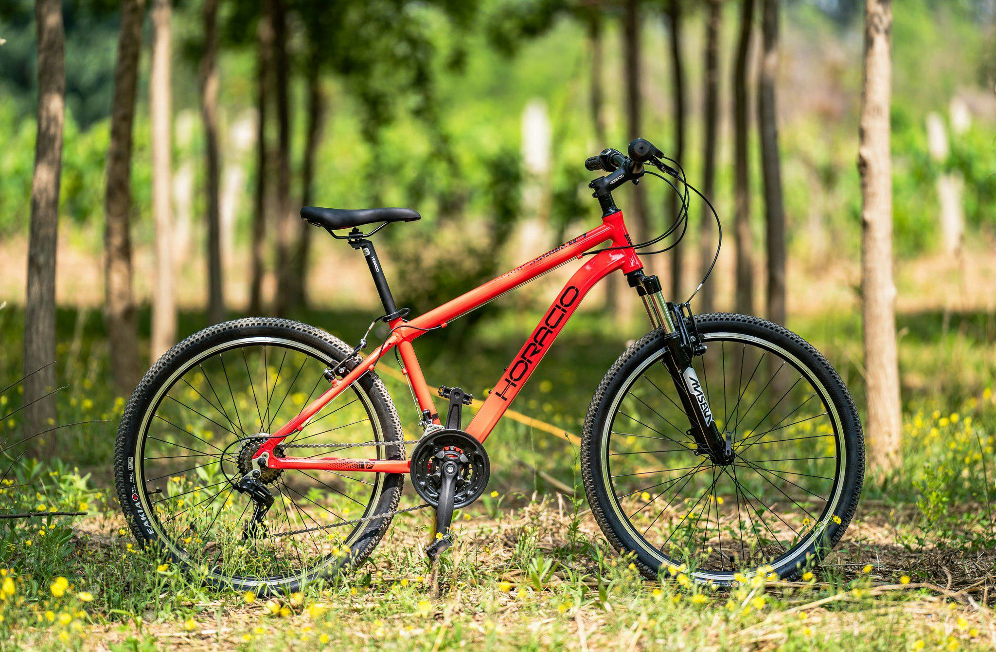 MTB_26_|_Horaciobikes