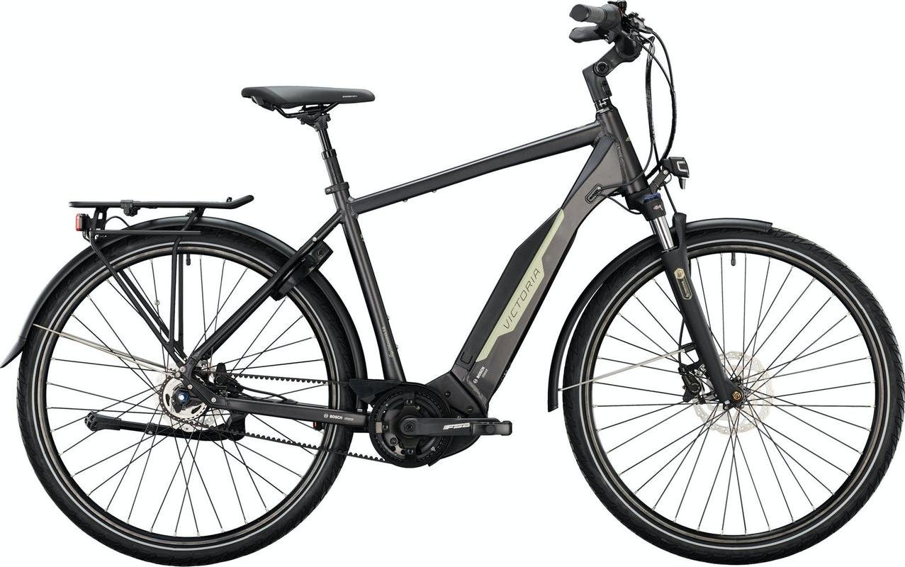 eTrekking_9.8_Diamant