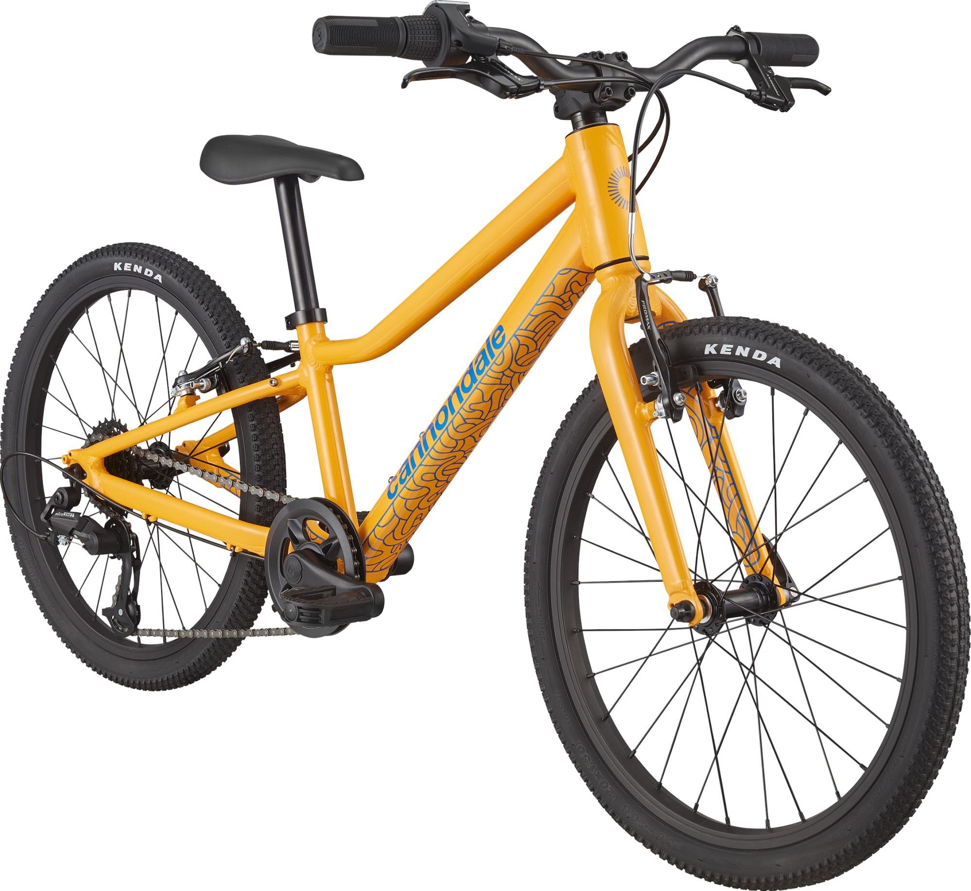 Cannondale Kids Quick 20 2022 | BikeExchange