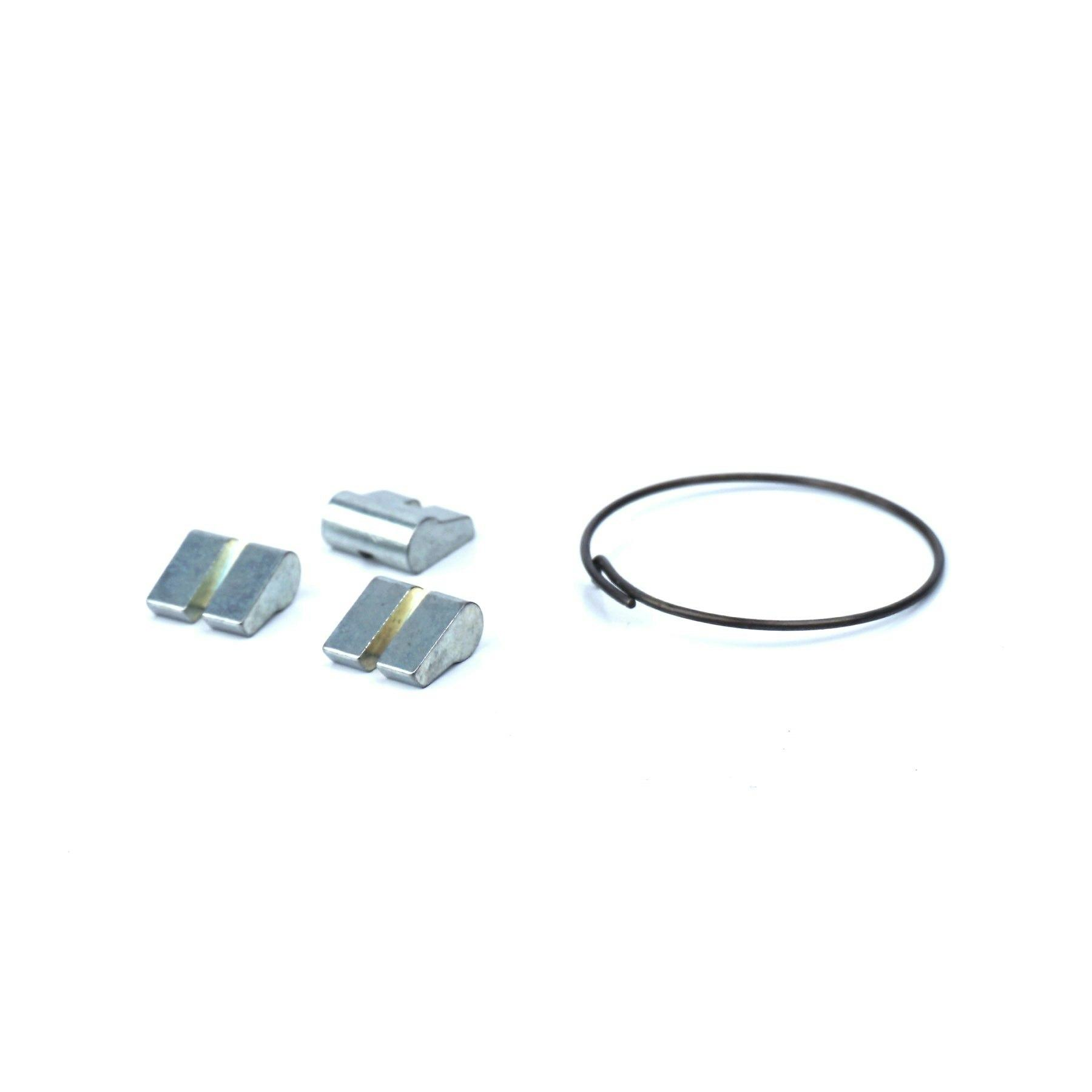 SRC/SRX_Pawl_&_Spring_Kit