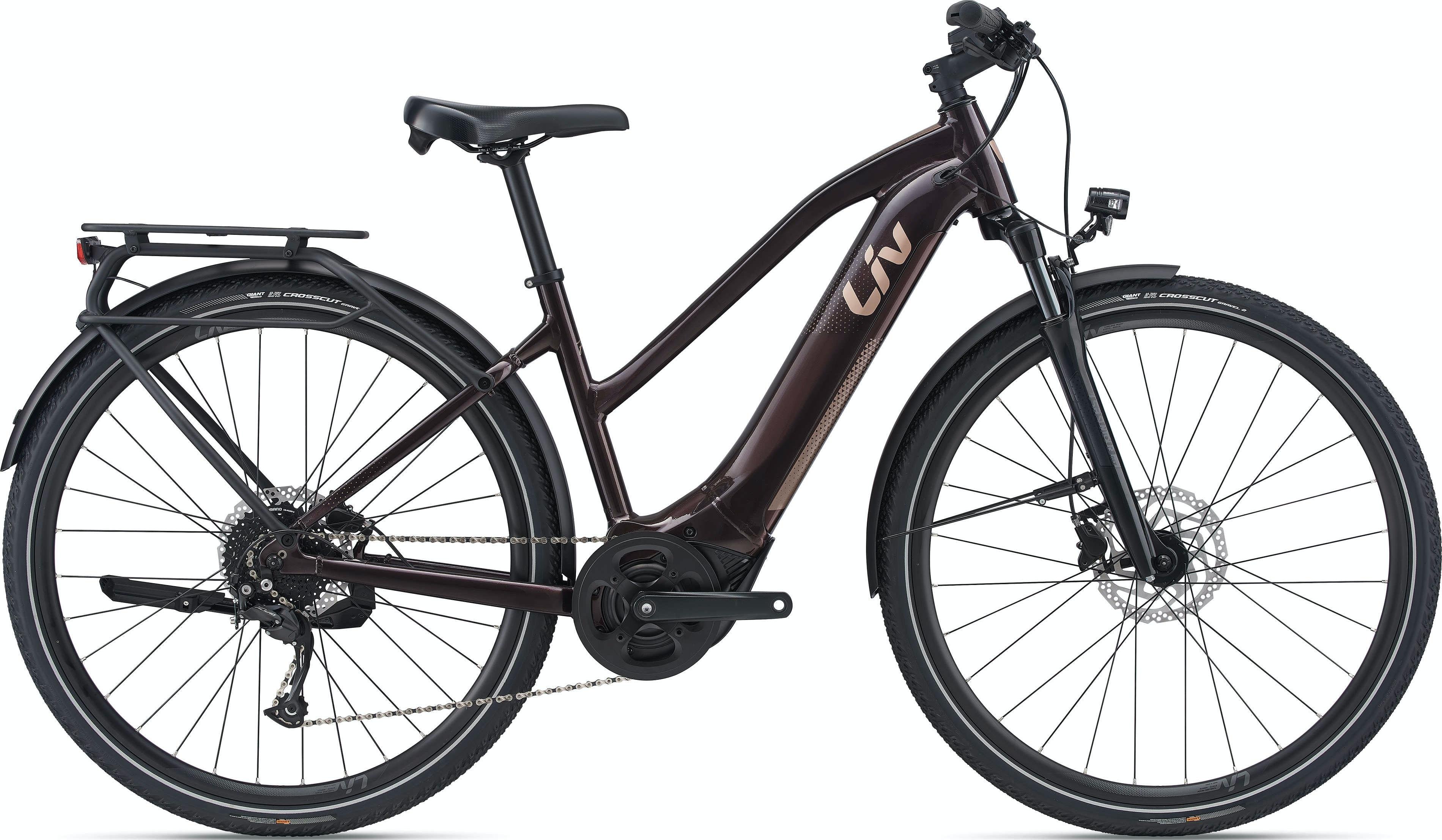 Amiti-E+_2_Sport_500Wh