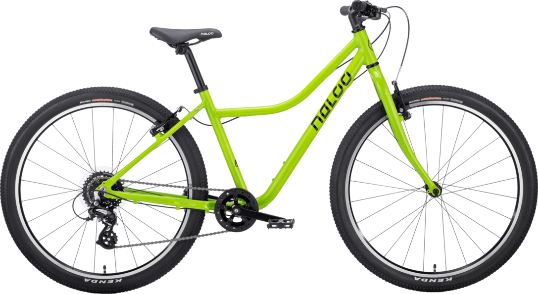 Chameleon_MK2_26"