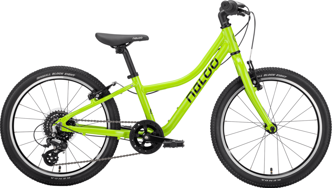 Chameleon_MK2_20"