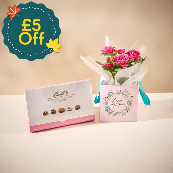 The Rose Plant Gift Bag With Chocolates