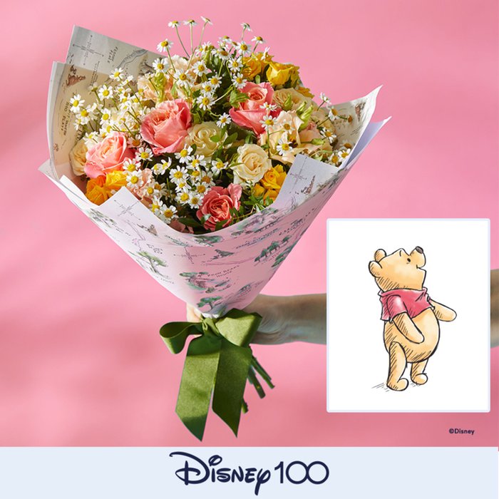 Disney's Winnie the Pooh