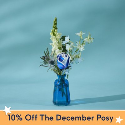 The December Posy 