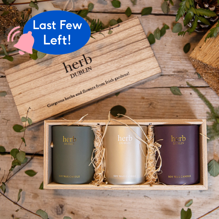 Winter Candle Trio by Herb Dublin