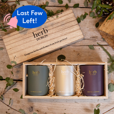 Winter Candle Trio by Herb Dublin