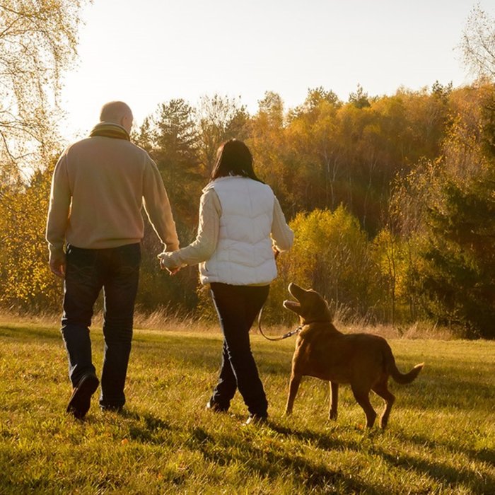 Dog Friendly Short Break