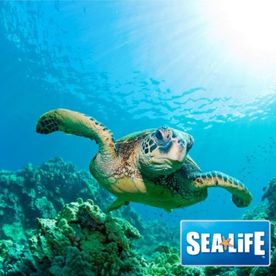 SEA LIFE Entry Tickets for Two (Multi Location)