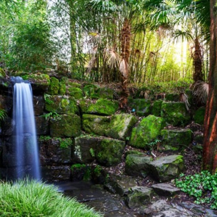 RHS Garden Entry for Two Adults