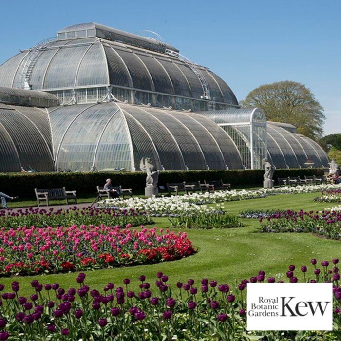 Kew Gardens and Palace Entry for Two