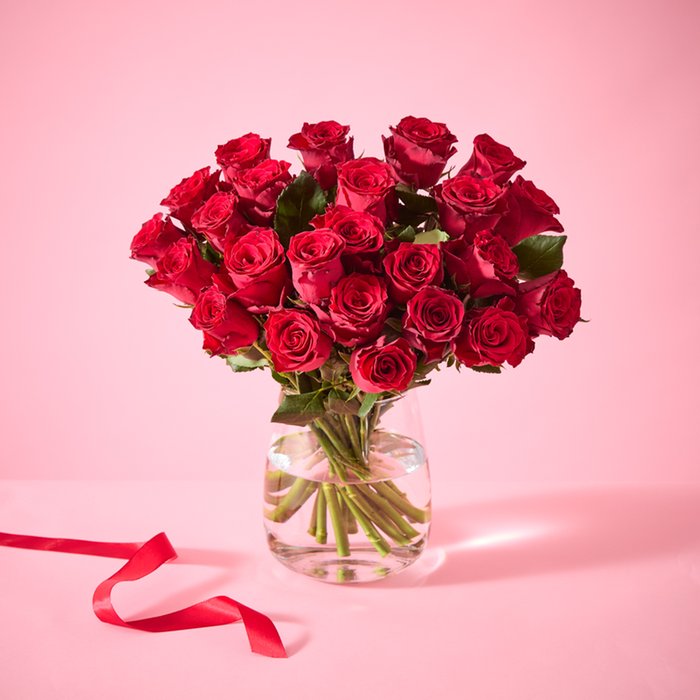 24 Premium Red Roses