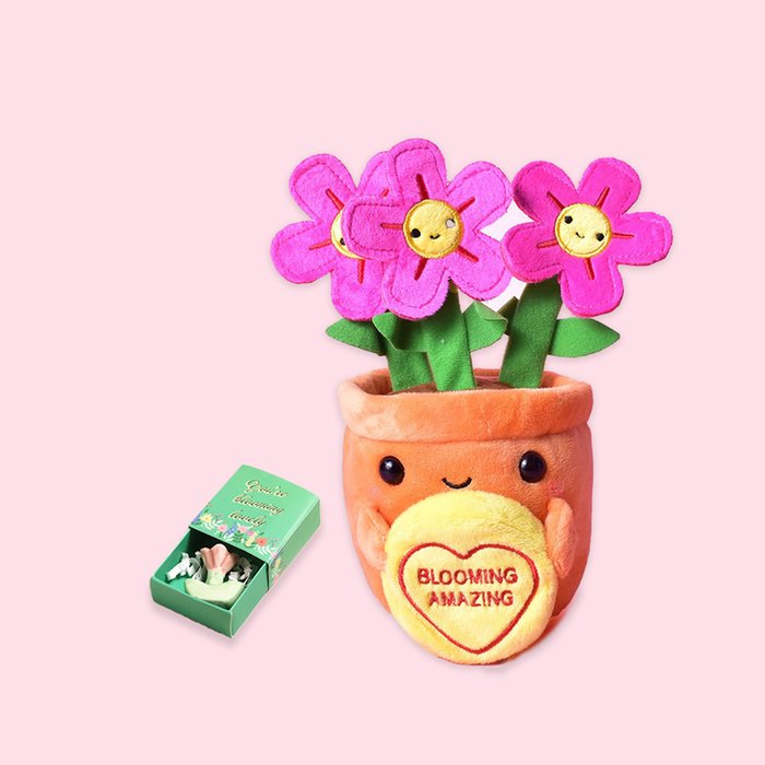 You're Blooming Lovely Matchbox & Blooming Amazing Soft Toy Gift Set