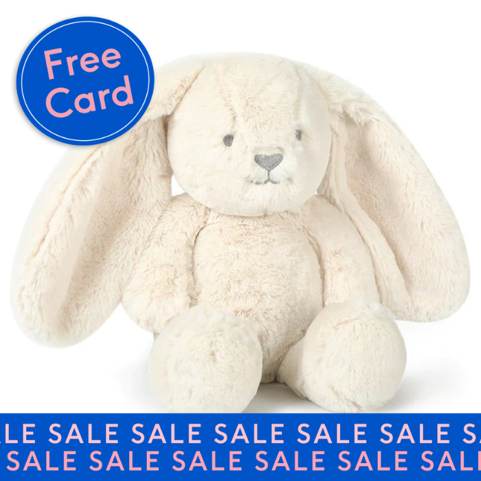 Ziggy Bunny Soft Toy
