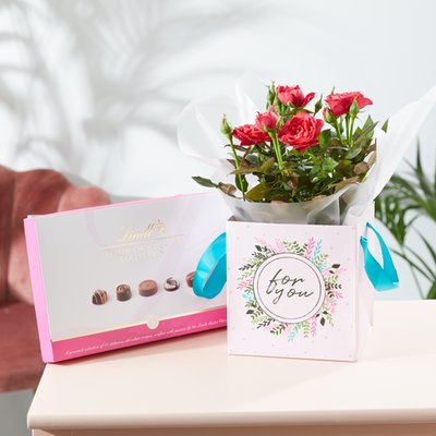 The Rose Plant Gift Bag With Chocolates
