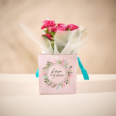 The Rose Plant Gift Bag 