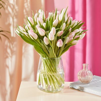 The 50 Pink Tulips
